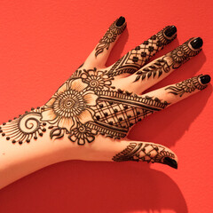 North America, USA, Washington. Indian Mehendi celebration.  Henna application and rituals. Hands.