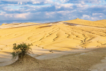 Romania, Buzău County, Berca. Geological ,botanical reservation Vulcanii Noroioși de la Paclele Mici. Small volcano-shaped structures caused by eruption of  natural gases.