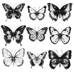 set of butterflies silhouettes, isolated on white background