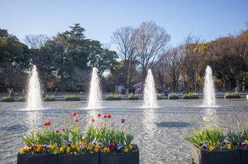 Fototapete bei efototapeten.de bestellen   