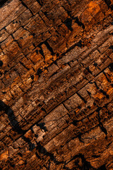 wood texture