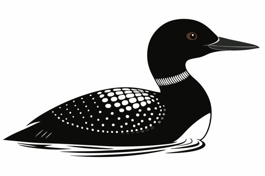 recommend clip art: Loon black silhouette vector illustration 