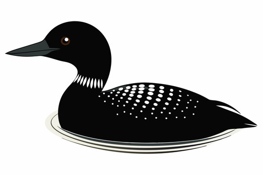 recommend clip art: Loon black silhouette vector illustration 