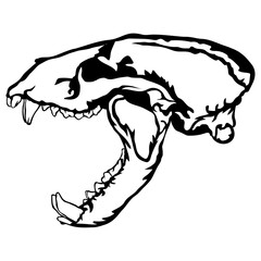 Badger Skull