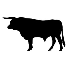 Bull  Silhouette Design