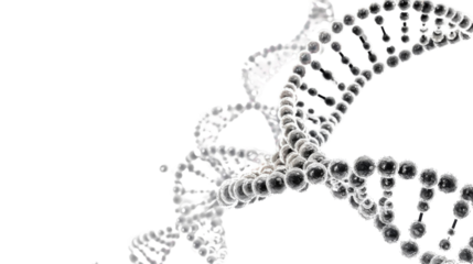 Structure DNA on white background