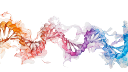 Structure DNA on white background