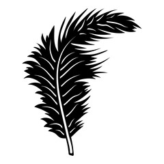 Obraz premium Feather Design