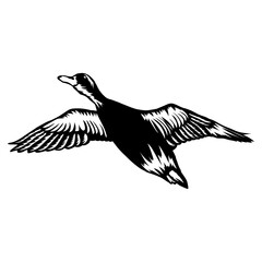 Flying Duck Duck  Duck Hunting Duck