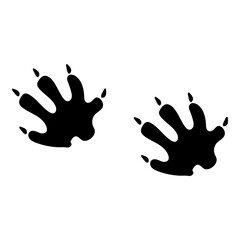 Obraz premium Footprint Beaver Paws