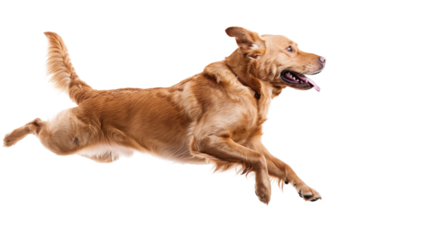 Untitled design - 77