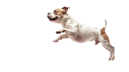 Untitled design - 78