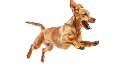 Untitled design - 82