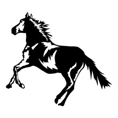 Horse Runninh
