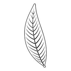 Long Leaf Outline