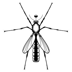 Mosquito Logo