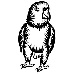Parrot Mascot