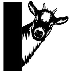 Peeking Goat