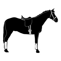 Race Horse  Jockey Horse rabian Horse Jockey Horse