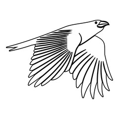 Raven Outline  Raven Crow Raven