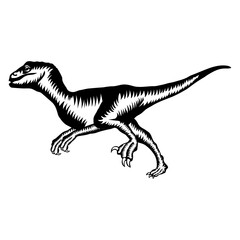Raptor Running