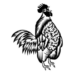 Rooster Crowing Cock-a-doodle-doo © VektorzDesign