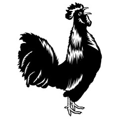 Rooster Crowing Cock-a-doodle-doo