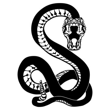 Snake Logo Snake Serpent Snake