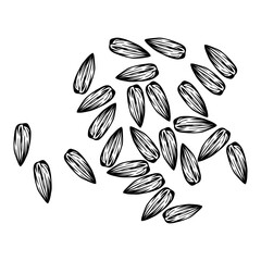 Sunflower Seeds