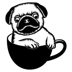 Teacup Pug Puppy