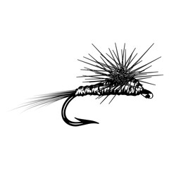 Trout Fishing Bait Fishing Fish Bait Fishing Bait