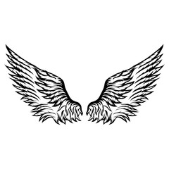 Fototapeta premium Wings Set