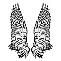 Wings Set