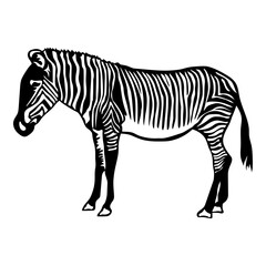 Zebra Simple Design