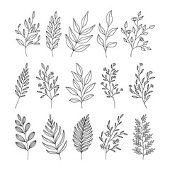 Set of leaves line art illustration vector