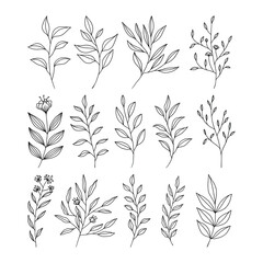 Set of leaves line art illustration vector