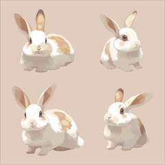 Obraz premium Curious and Cute Rabbit Expressions