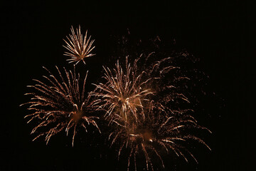 Obraz premium fireworks in the sky