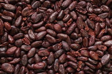 Cocoa beans background