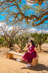 Young Latina woman relaxing on a bench at Mitla, Oaxaca, Mexico, surrounded by cacti and enjoying a...