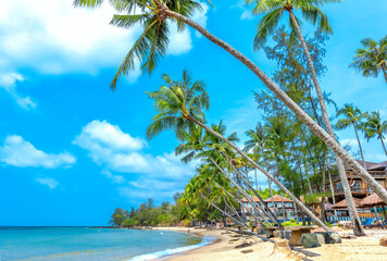 Nice beach in Phu Quoc island Vietnam. The bay with blue water, coconut trees, and fine sand is considered a beautiful beach in the Gulf of Thailand