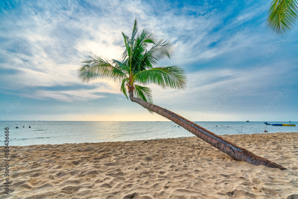 Wall mural palm trees at sunset on the tropical paradise beach of phu quoc island, vietnam