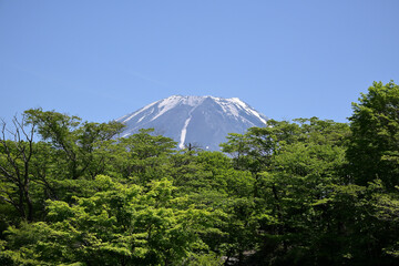 夏の富士山