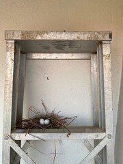 Bird's nest with eggs on metal shelf