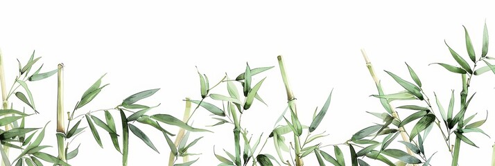 Naklejka premium Watercolor bamboo stems and leaves - A delicate watercolor painting of bamboo stems and foliage against an off-white background