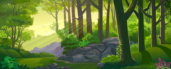 A view of the forest during sunset with lush green grass, trees, and rocks.