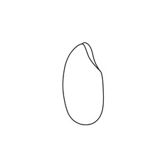玄米1粒の線画