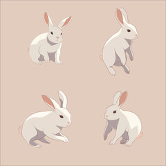 Rabbit Various Actions