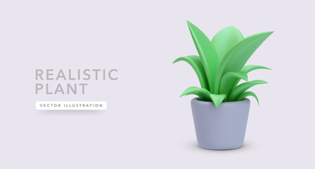 3d realistic plant in a flowerpot