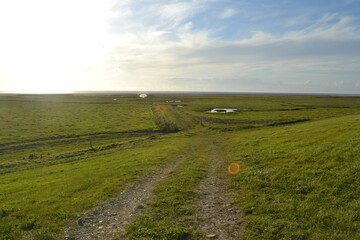 Fototapeta premium Images from the south Denmark nature